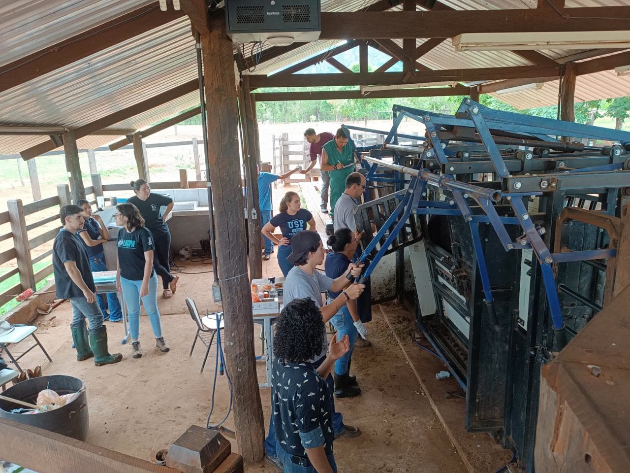 Equipo de Embriotec trabajando en la manga de manejo