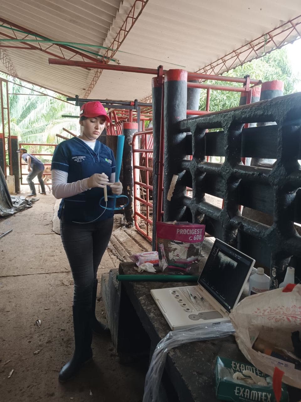 Ecografía reproductiva con equipo portátil en finca
