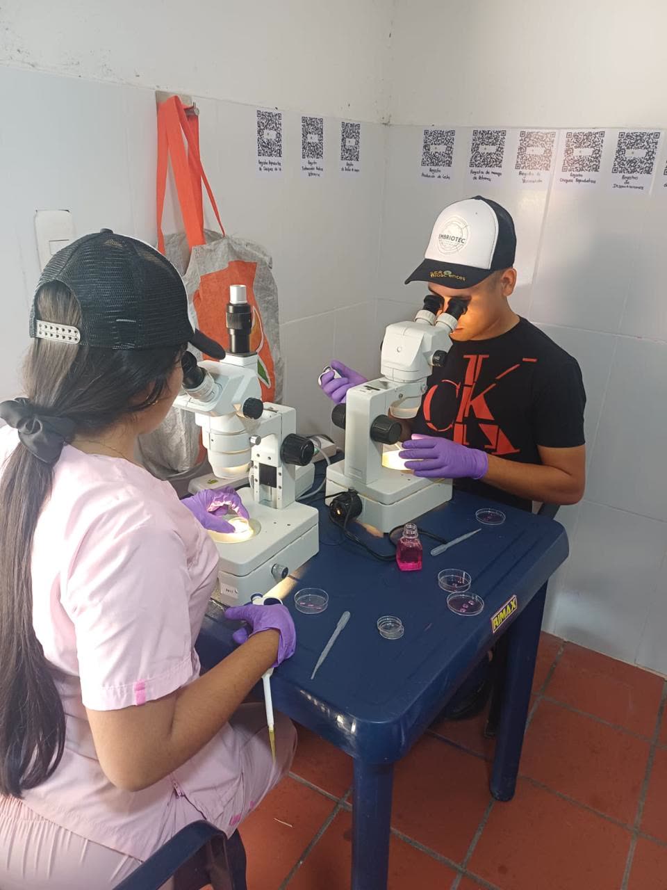 Equipo de laboratorio de Embriotec trabajando en microscopios