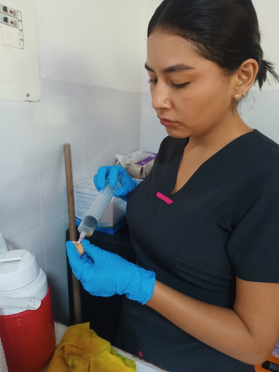 Preparación de pajillas de semen en laboratorio