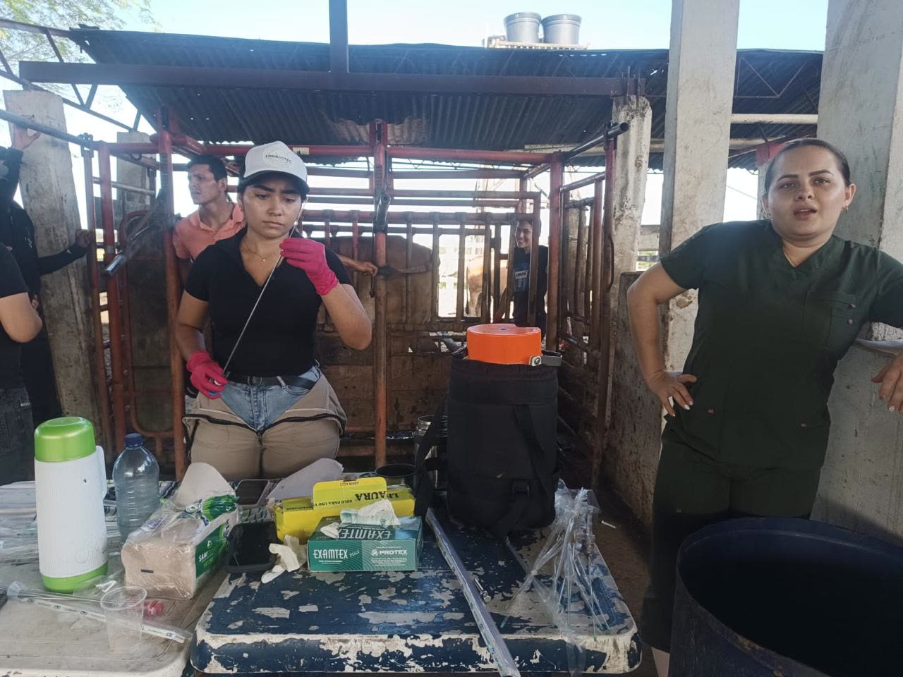 Técnica de Embriotec preparando material para IATF